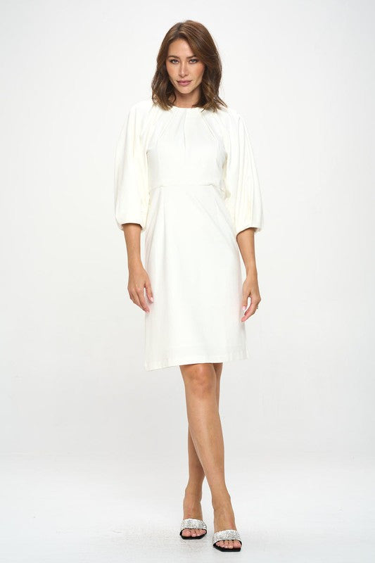 Balloon Sleeve Dress