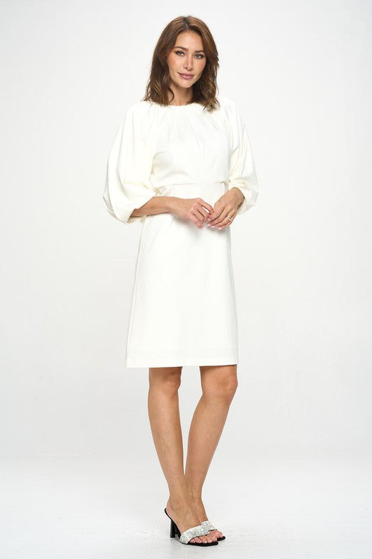 Balloon Sleeve Dress